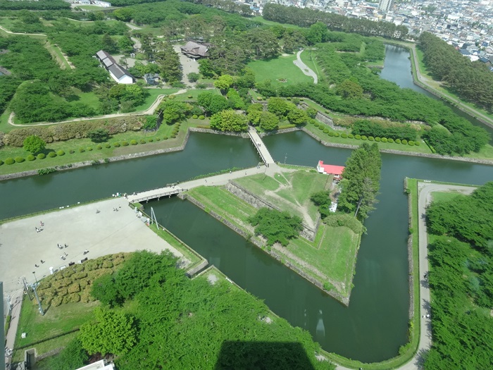 タワーから形、大きさを実感