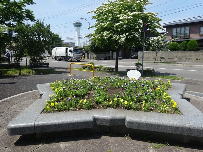 五稜の花壇