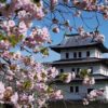 桜の松前城