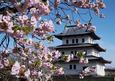 桜の松前城