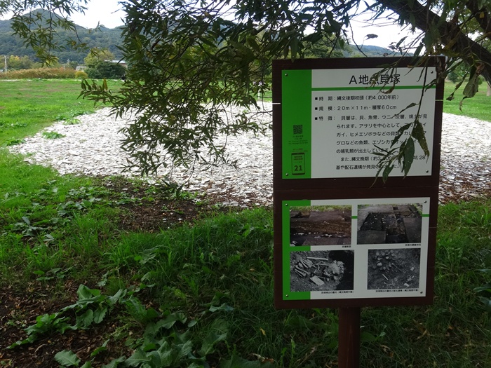 貝、魚骨、土器、土偶が発見された高砂貝塚